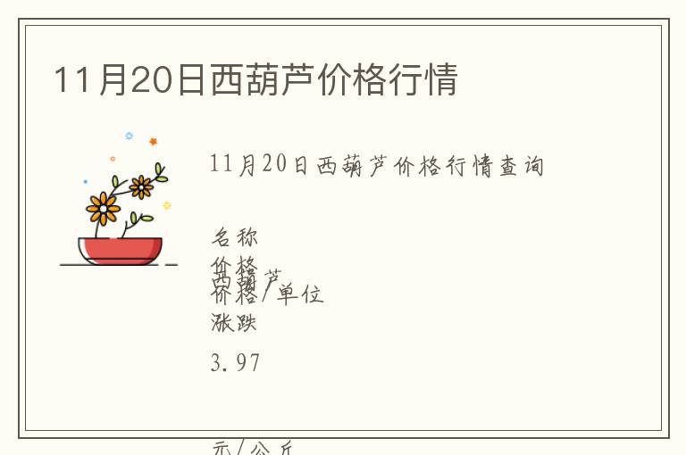 11月20日西葫蘆價(jià)格行情