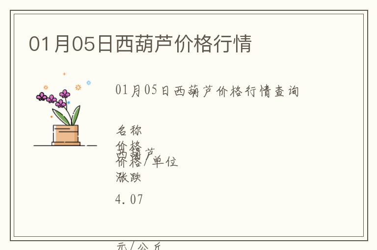 01月05日西葫蘆價格行情