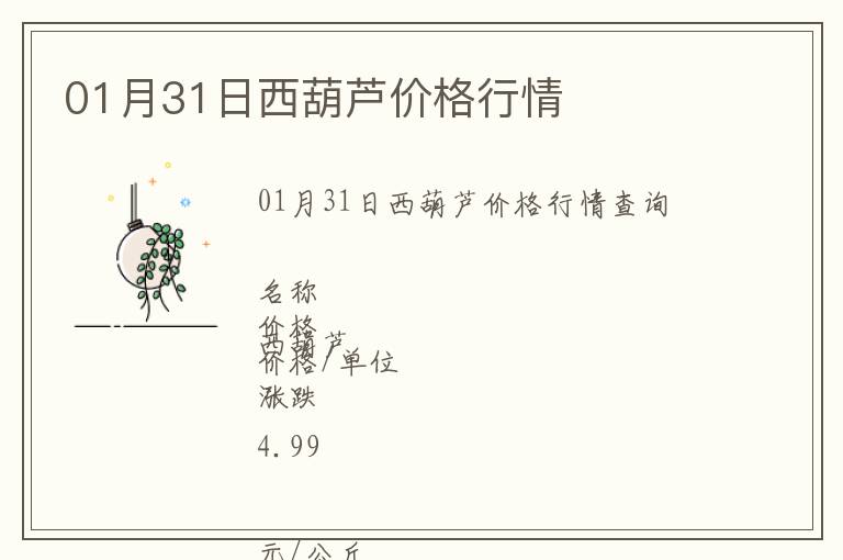 01月31日西葫蘆價格行情