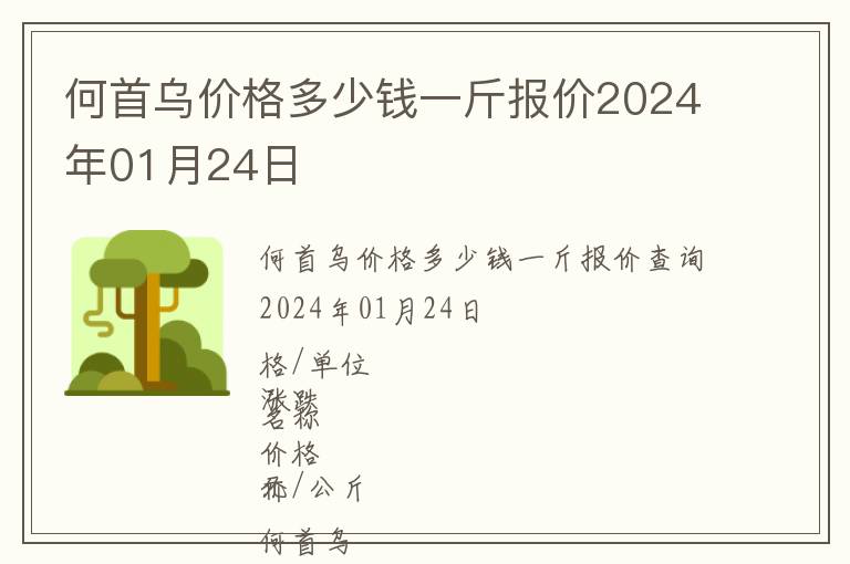 何首烏價(jià)格多少錢(qián)一斤報(bào)價(jià)2024年01月24日