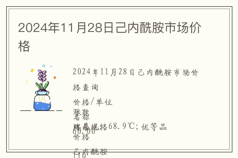 2024年11月28日己內(nèi)酰胺市場價(jià)格