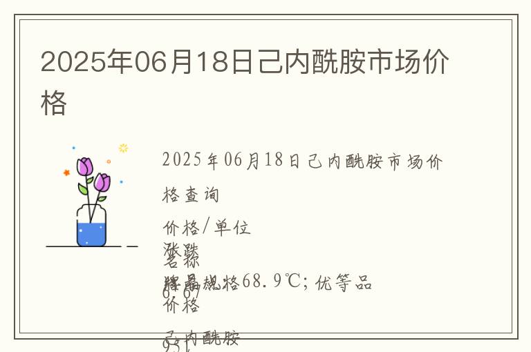 2025年06月18日己內(nèi)酰胺市場(chǎng)價(jià)格