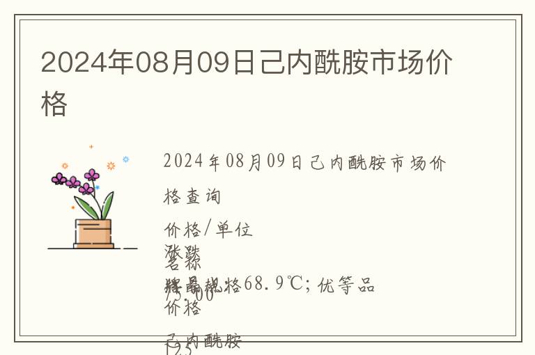 2024年08月09日己內(nèi)酰胺市場價格