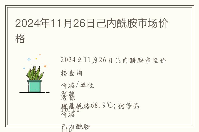 2024年11月26日己內酰胺市場價格