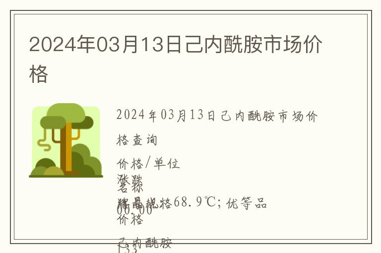 2024年03月13日己內(nèi)酰胺市場價格