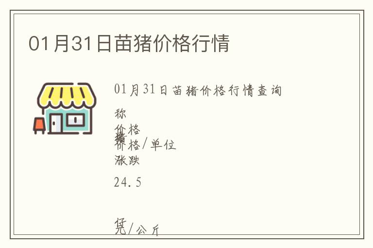 01月31日苗豬價(jià)格行情