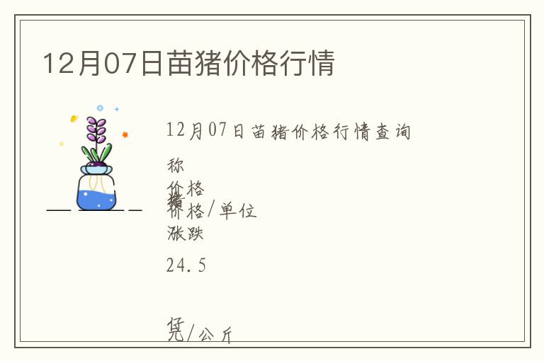 12月07日苗豬價(jià)格行情