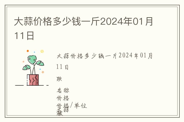 大蒜價格多少錢一斤2024年01月11日