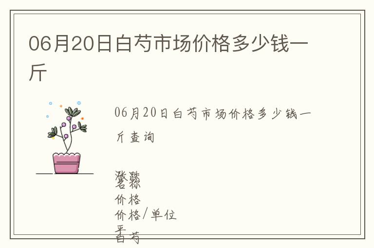 06月20日白芍市場價格多少錢一斤